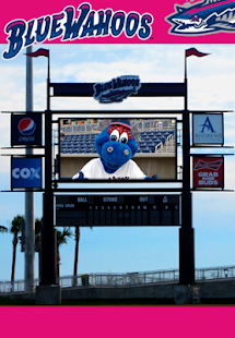 Pensacola Blue wahoos Screenshots 0