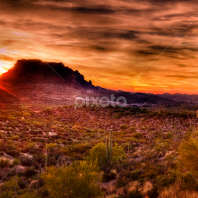 Painted Desert  by Jim Moon - Landscapes Sunsets & Sunrises