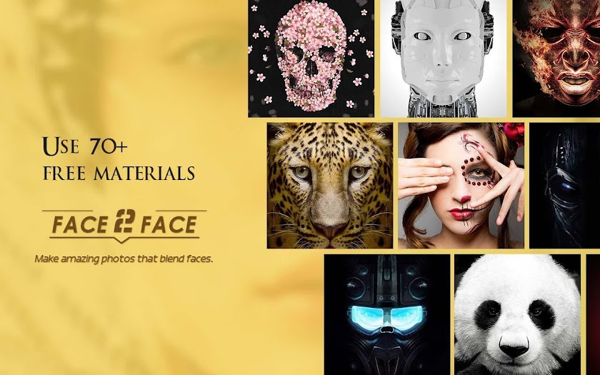 Face2Face-funny face effects Screen 2