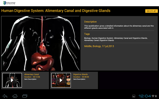 Human Digestive System