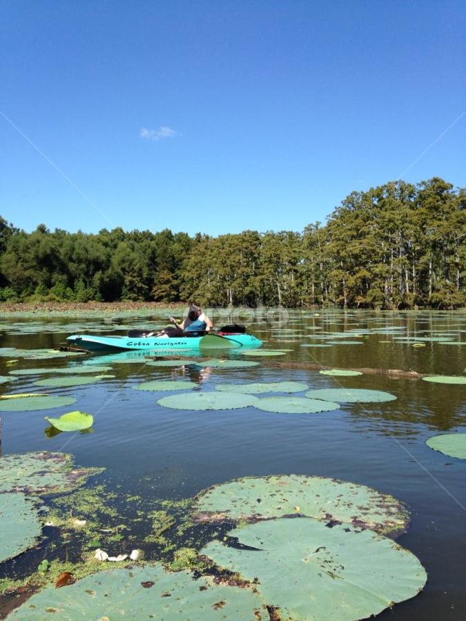 Peaceful Pleasures by Karin Pelton - Landscapes Waterscapes