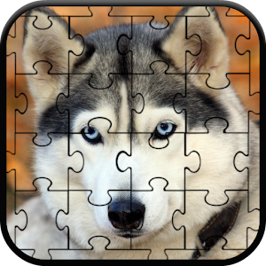 Husky Jigsaw Puzzle.apk 1.0