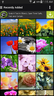Download Flowers & Gardens Wallpapers APK
