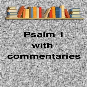 Psalm 1 with Commentaries.apk 1.02