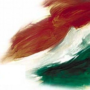 India Live News Lite.apk 1.1