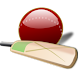 Cricket For You