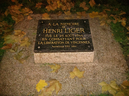 Henri Liger