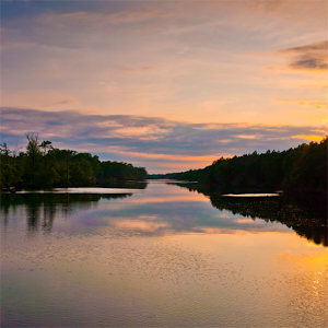 Room to Breathe Meditation 1.0.2