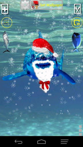 免費下載個人化APP|Angry Shark Pet Christmas Skin app開箱文|APP開箱王