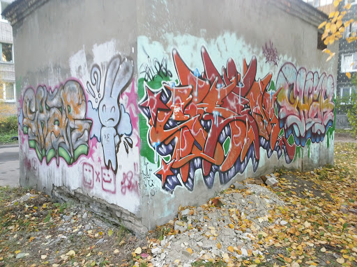 Граффити с зайцем