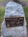 Bicentennial Tree Plaque