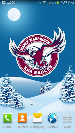 Manly Sea Eagles Snow Globe