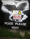 Peace 2005