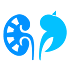 Renal Dose2.4.1 (Ad-Free)