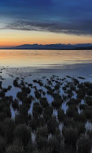 Lastest Transition Live Wallpaper APK