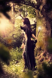 Forest HD Wallpaper Screenshots 5