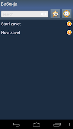 Serbian Holy Bible poster 1