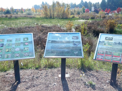 The Fairview Mitigation Wetland