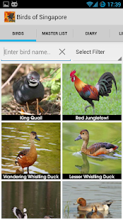 Download Birds of Singapore APK for Android