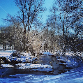 Meandering stream in the winter by Dianne Collins - Landscapes Waterscapes