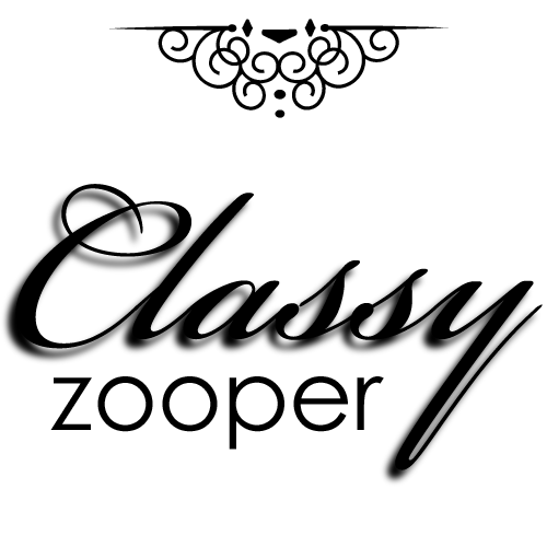 Classy Premium Zooper Widget