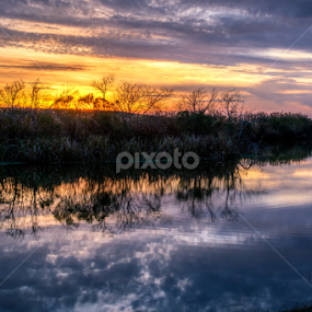 Sunrise on the Canal by Shane Adams - Landscapes Sunsets & Sunrises