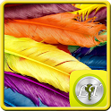 Iphone 5 feather Go locker logo