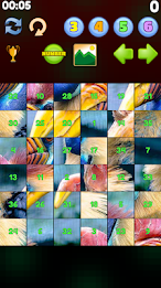 Mori Picture Puzzle poster 5