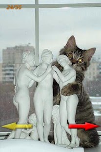 Most Funny Pictures Screenshots 5