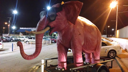 Nashville's Pink Elephant
