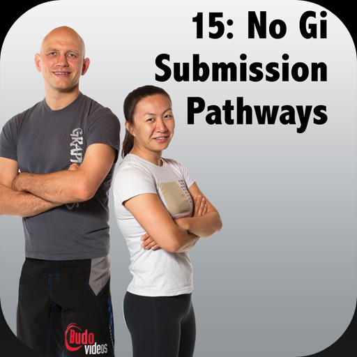 BigStrong 15, Submission Paths LOGO-APP點子