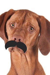 Add a Mustache Screenshots 5