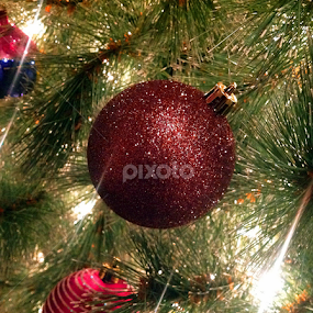 by Kerry  Milligan - Public Holidays Christmas