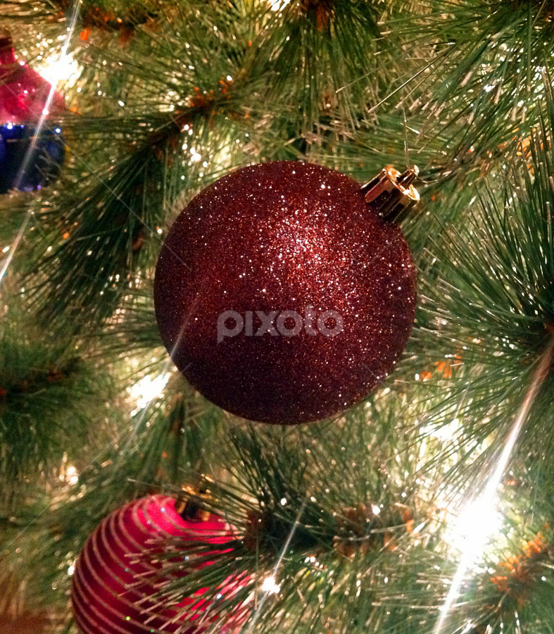 by Kerry  Milligan - Public Holidays Christmas