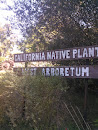 Native Plant West Arboretum 