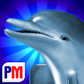 Dolphins Dice Slots Apk