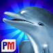 Dolphins Dice Slots icon