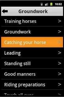 Good Horsemanship Screenshots 1