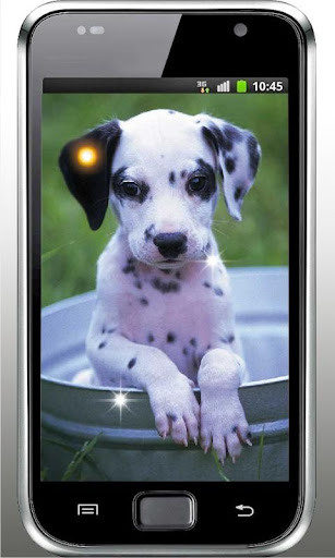 Plush Puppy HD Live Wallpaper