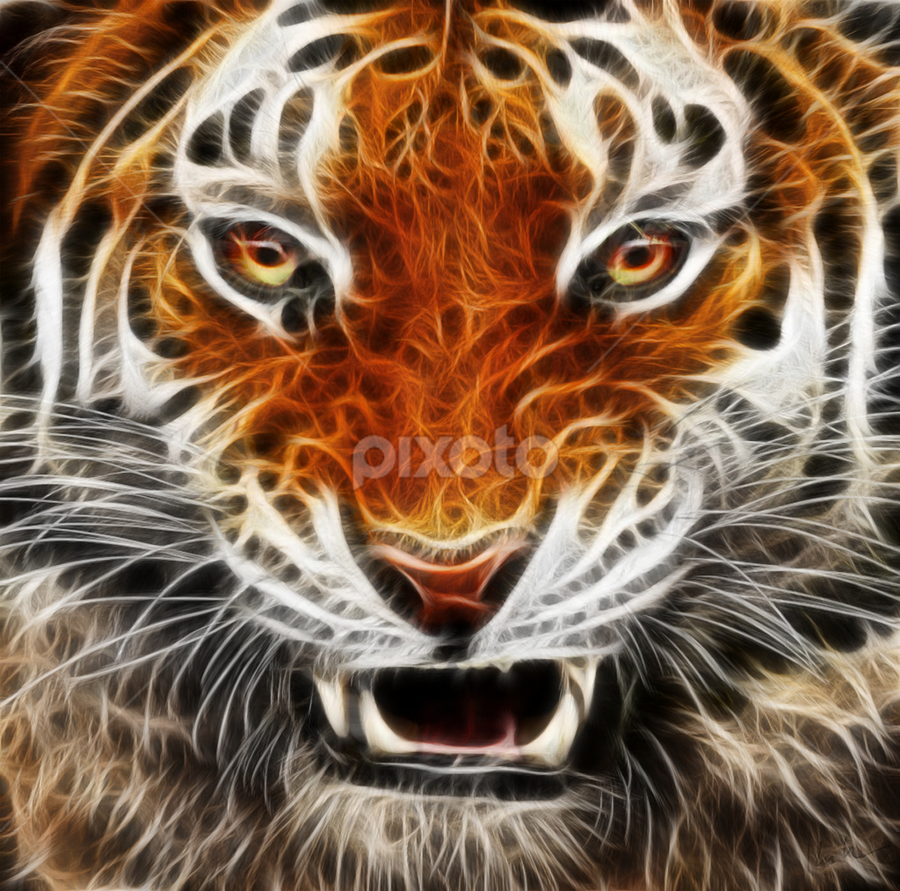 Close Up Portraits of roaring Bengal Tiger. Digital artwork Stock  Illustration