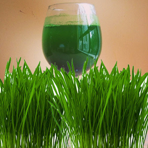 Health Benefits of Wheatgrass