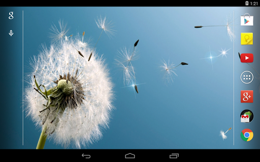 【免費個人化App】Dandelion Live Wallpaper-APP點子