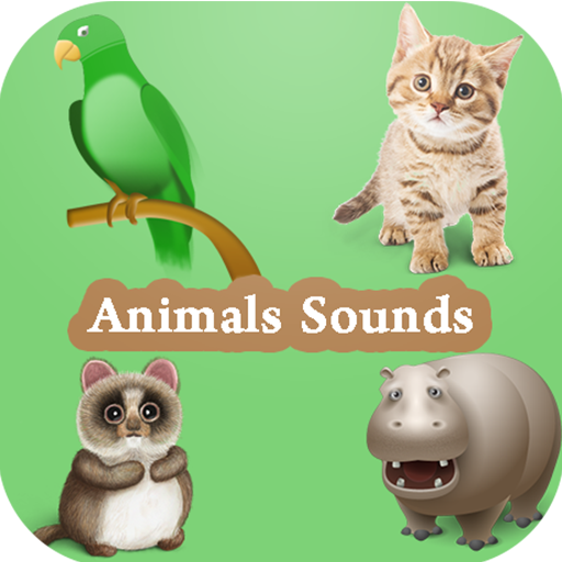 Sounds Animals for kids