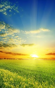 Screenshot dell'applicazione Android Perfect Sunrise Live Wallpaper