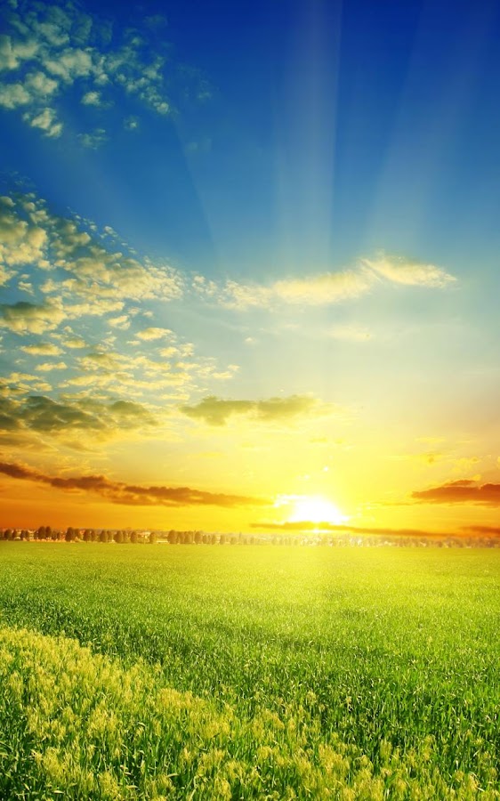 Christian Zennaro Perfect Sunrise Live Wallpaper Android Apps On Google Play