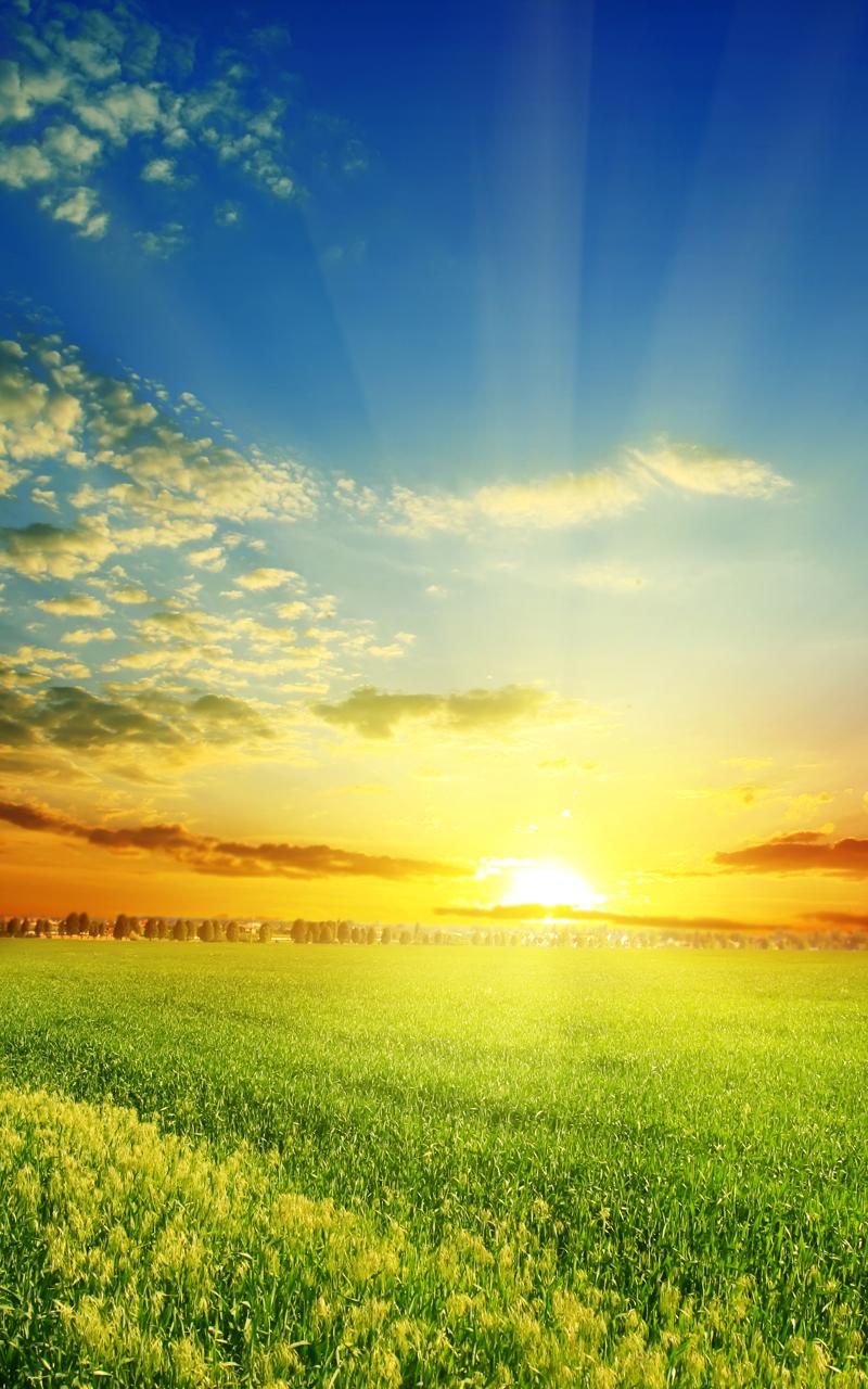 Android application Perfect Sunrise Live Wallpaper screenshort
