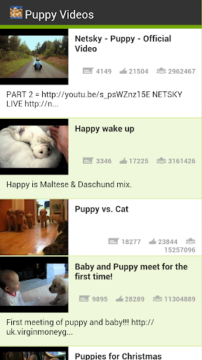 Puppy Videos
