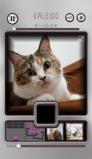 Download KALEIDOにゃんこ～陽気な太陽の下～ APK for Android