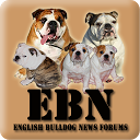 English Bulldog News Forums mobile app icon