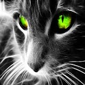 3D cat 009 logo